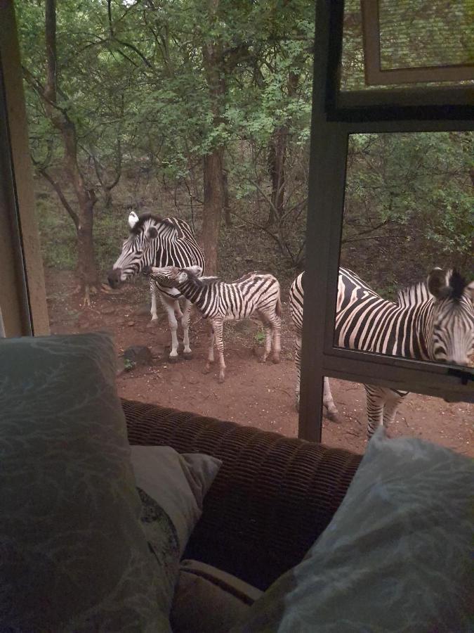 Canyon Guest Villa Hoedspruit Dış mekan fotoğraf