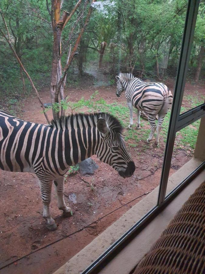 Canyon Guest Villa Hoedspruit Dış mekan fotoğraf